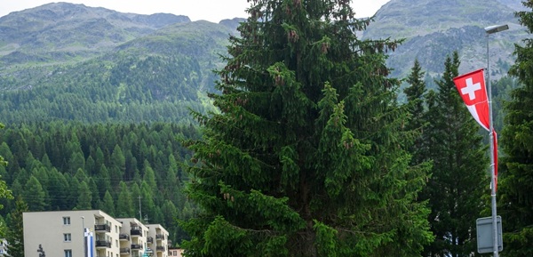 quando guadagna una donna delle pulizie in svizzera