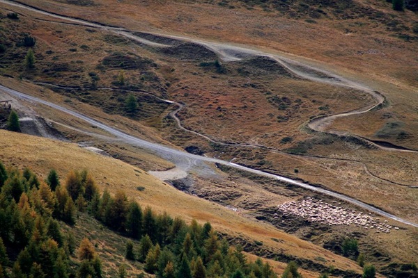 scendere in mtb nei boschi e sentieri di livigno
