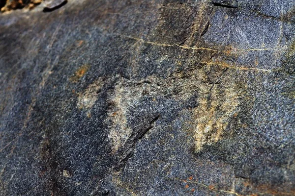 scoperte in valtellina le incisioni rupestri più alte d'europa