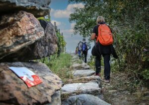 scopri i benefici del passeggiare in montagna per gli over 50