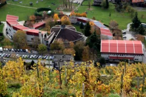 scuola torelli sondrio notizie scuola