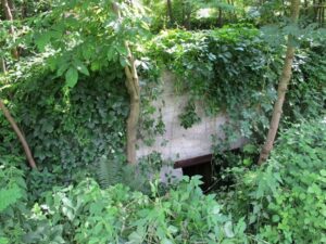 se mussolini avesse raggiunto il ridotto della valtellina nell’aprile 1945