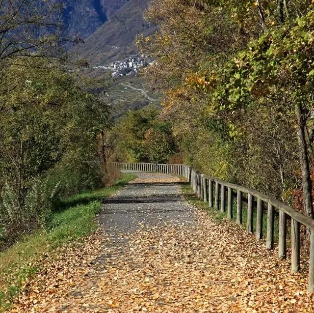 sentiero valtellina piateda in autunno regolamento sentiero valtellina