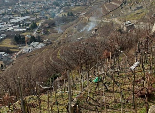 si possono bruciare sterpaglie nel proprio giardino