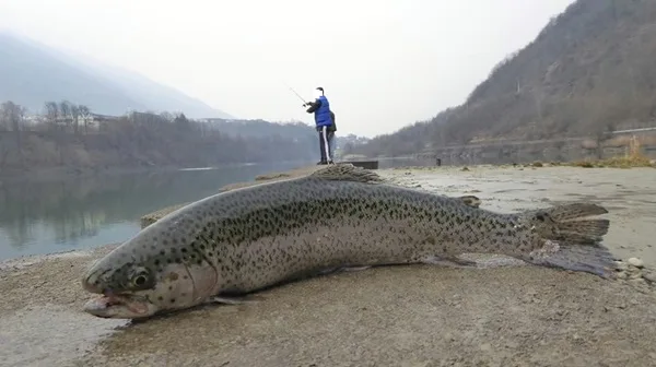 stagione pesca sondrio