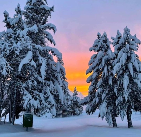 stipendio di un boscaiolo in svizzera una panoramica dettagliata