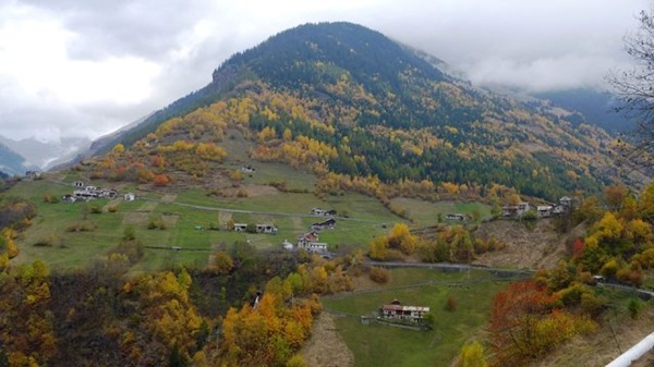 Strade forestali e silvo-pastorali in Lombardia