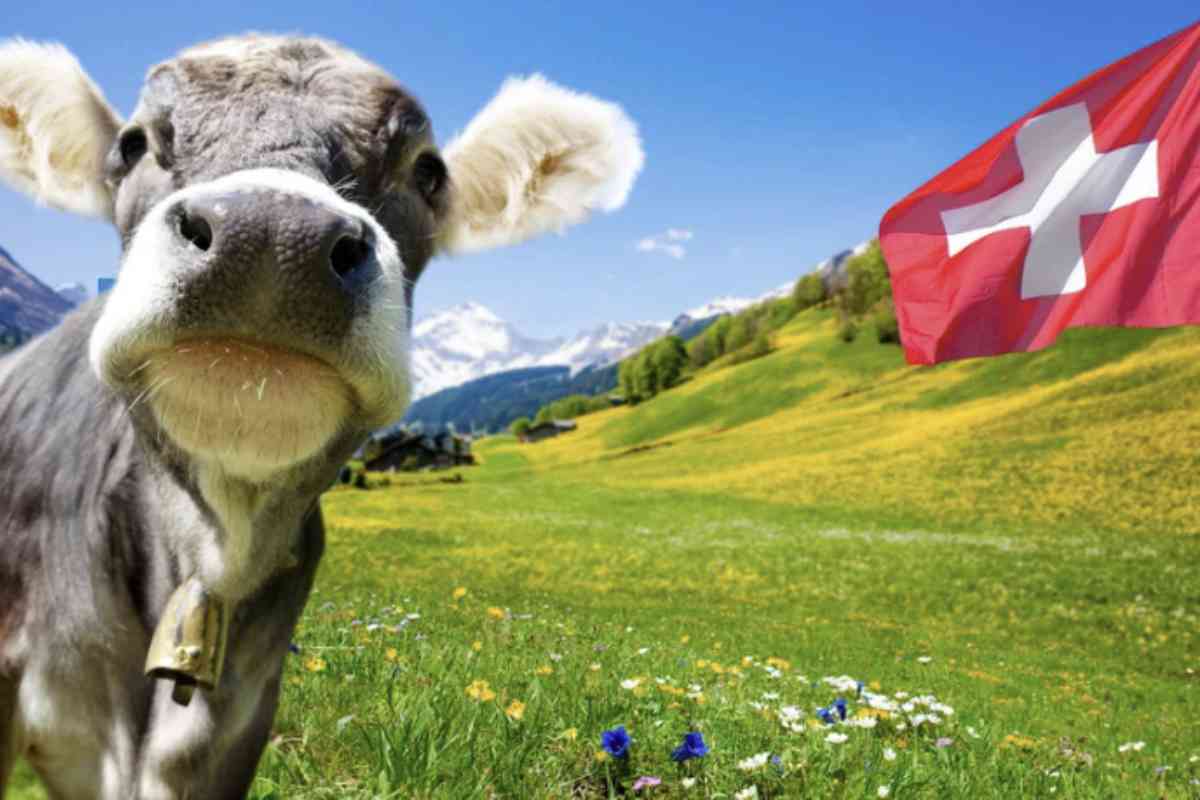 La Svizzera è famosa per i suoi paesaggi alpini mozzafiato