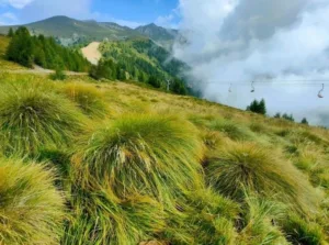 quanto e con che frequenza quanto e con che frequenza