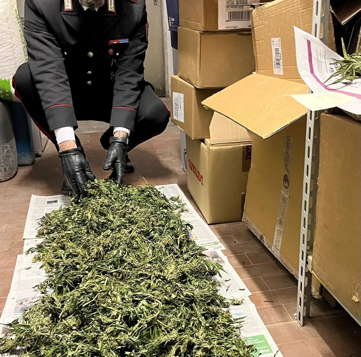 tirano, 53enne arrestato per detenzione ai fini di spaccio di sostanze stupefacenti