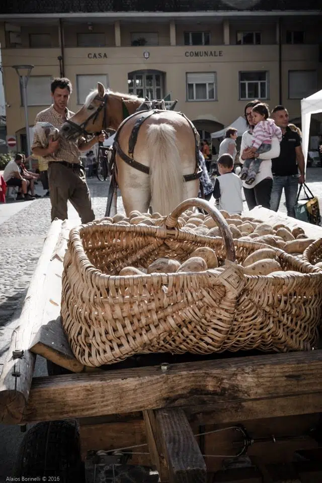 fiera di S. Andrea citata nel 1688