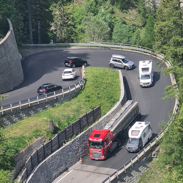 trasferimento bestiame sul passo maloja
