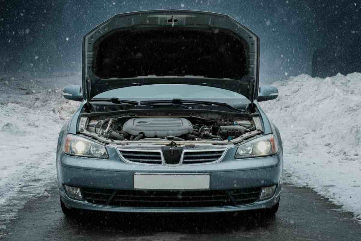 Auto problemi freddo