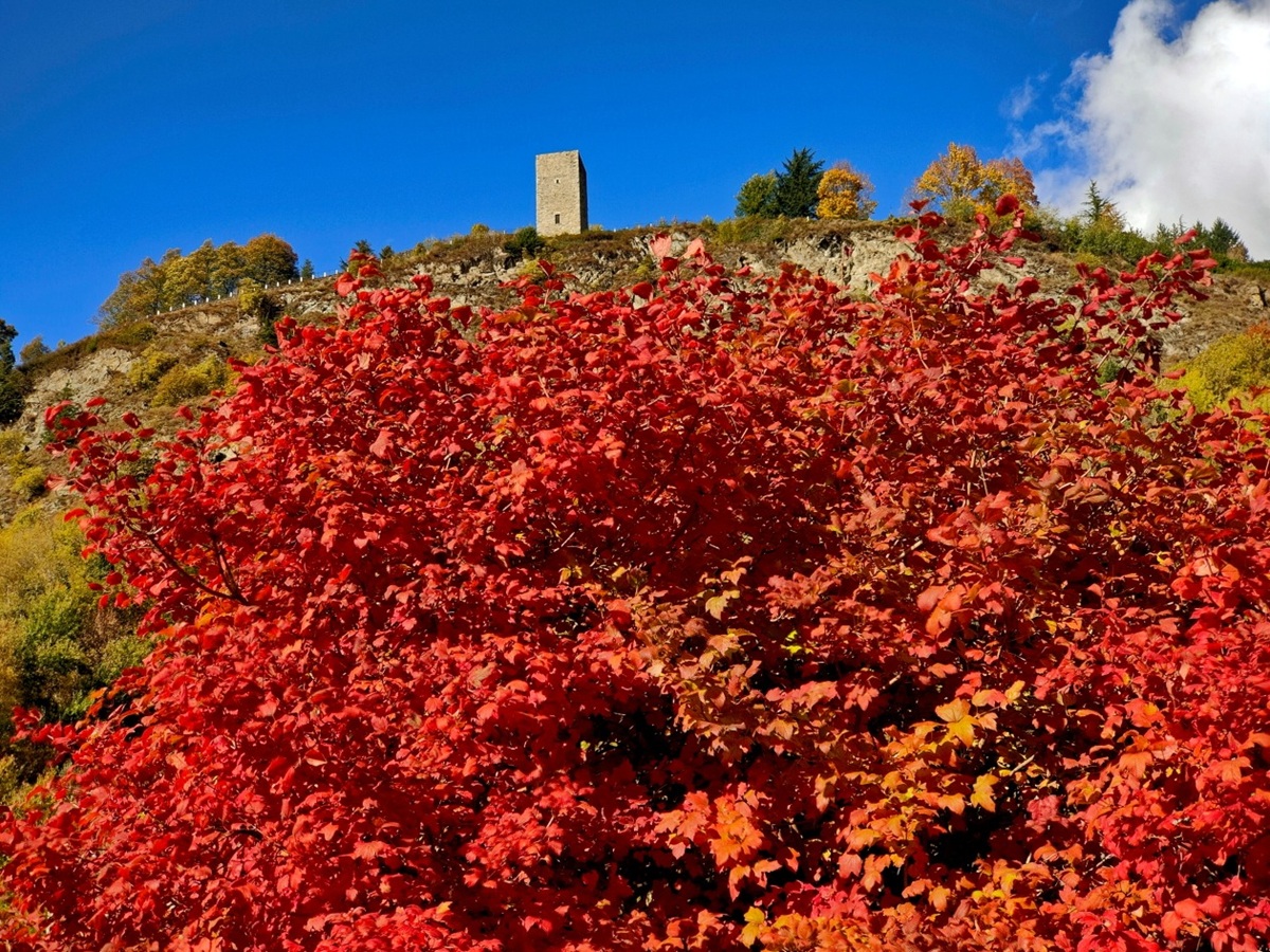 Autunno in Valtellina un dipinto a cielo aperto