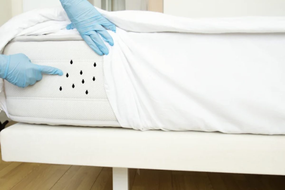 Materassi sporchi e trascurati possono infatti diventare habitat ideali per acari, batteri, muffe e cattivi odori,