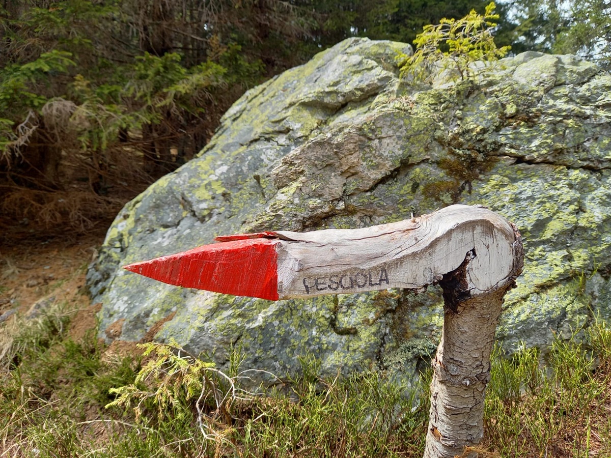 segnaletica sentieri montagna Simboli su tronchi e sassi in montagna perché ci sono e come leggerli