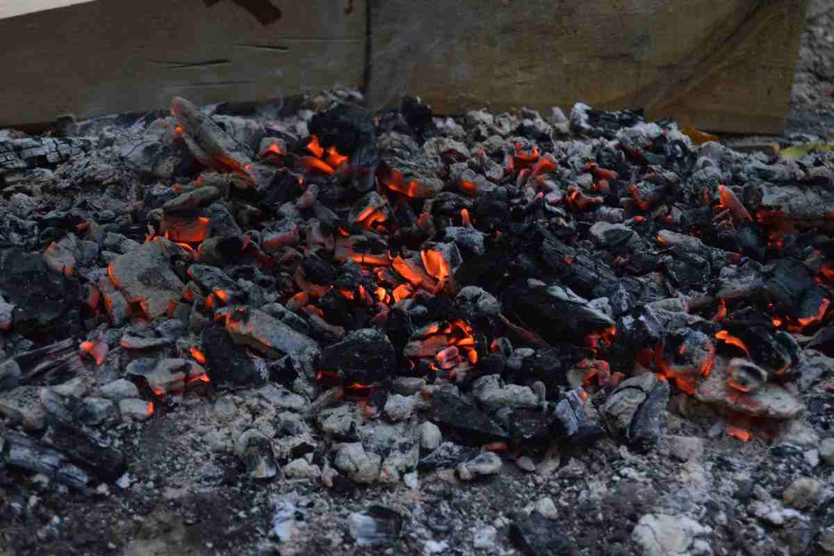 5 modi utili per riciclare la cenere