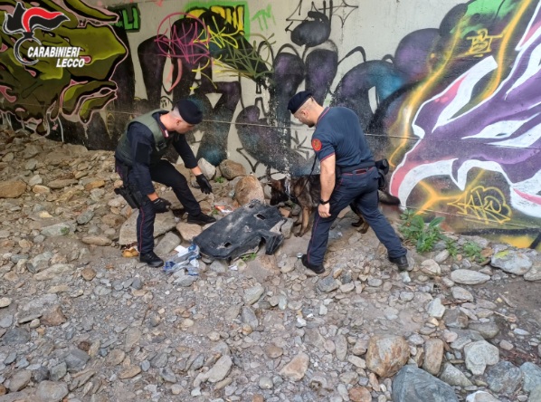 carabinieri smantellano postazioni di spaccio nei boschi|traghetto lago di como