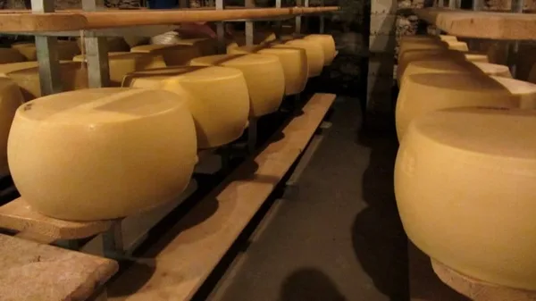 grana della valtellina