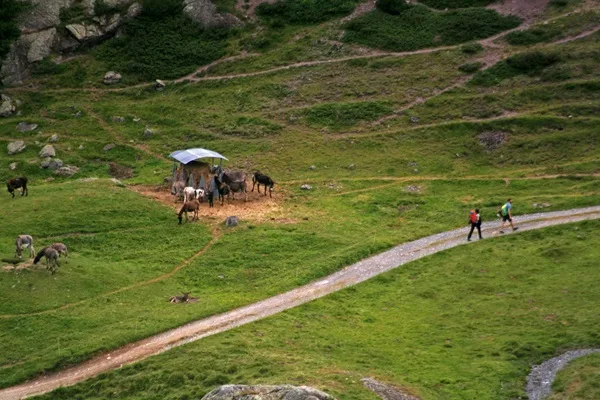 i benefici di camminare in autunno in montagna