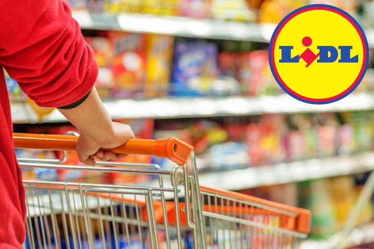 Da Lidl con 29,90 euro trasformi la tua auto come i meccanici che ne chiedono 300