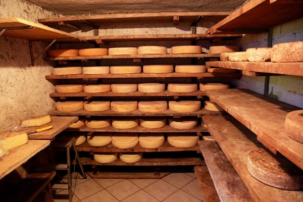 non solo valli del bitto dove si produce davvero il bitto dop