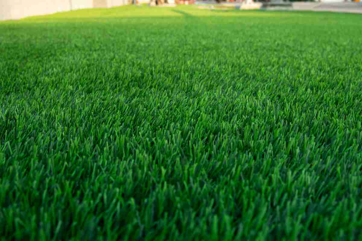 L'ultima fatica utile|L'ultima fatica utile