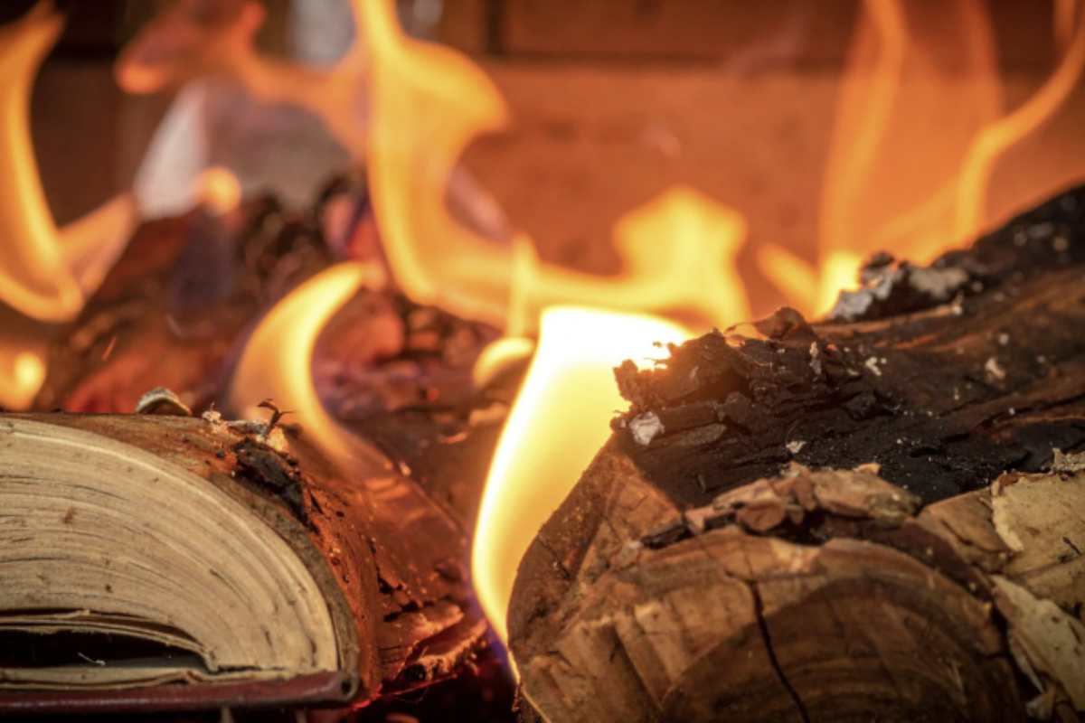 Camino attenzione Il legno resinoso, tipico delle conifere come pino e larice, si distingue per alcune caratteristiche visive e tattili.