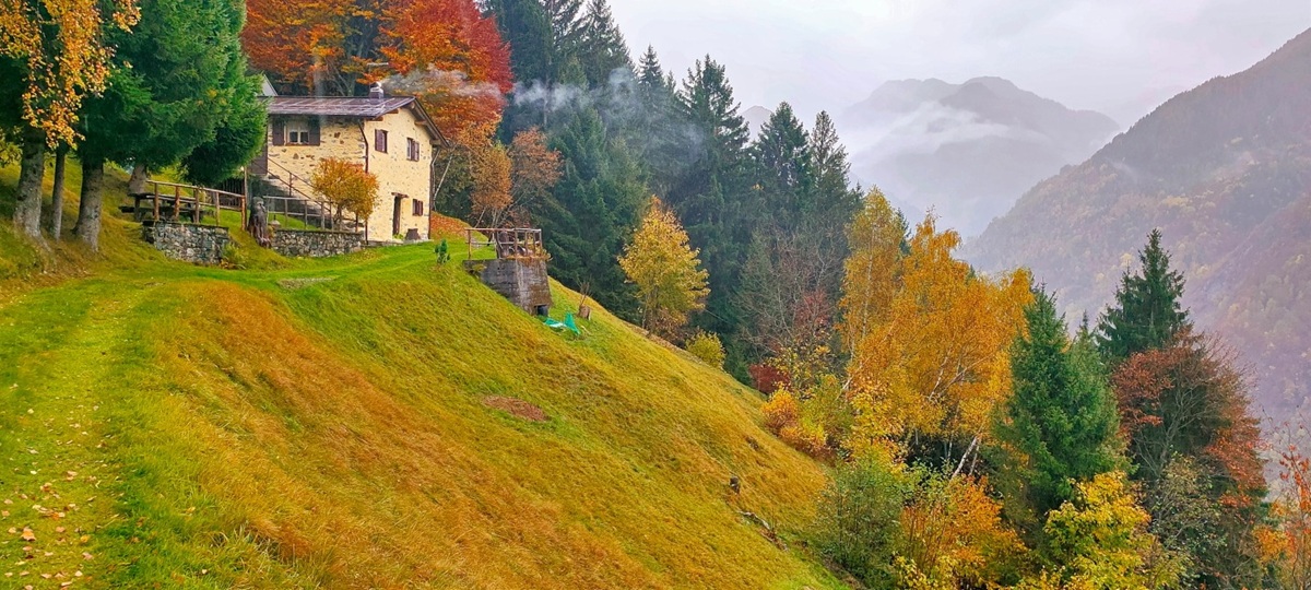 Cosa bruciare nel camino per pulire una canna fumaria senza spazzacamino