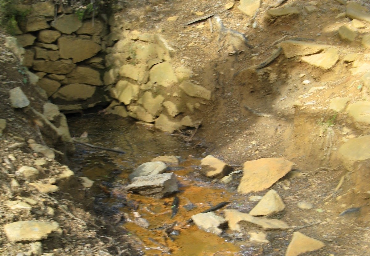 La miniera d’oro perduta della Valtellina