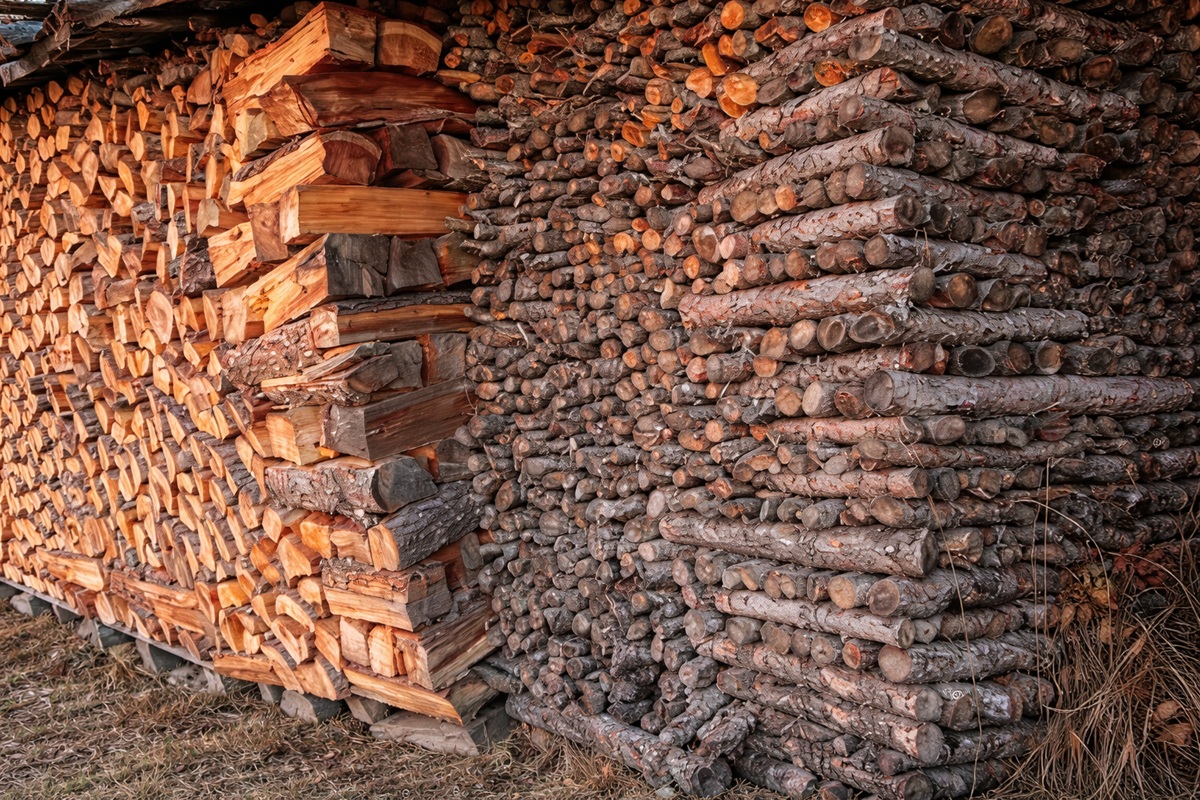 Legno pericoloso nel camino