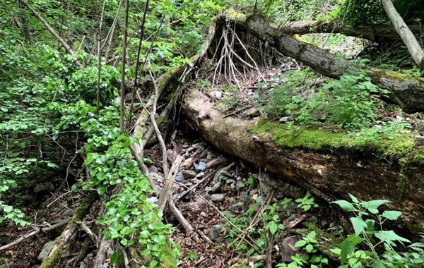 Sondrio lavori pubblici