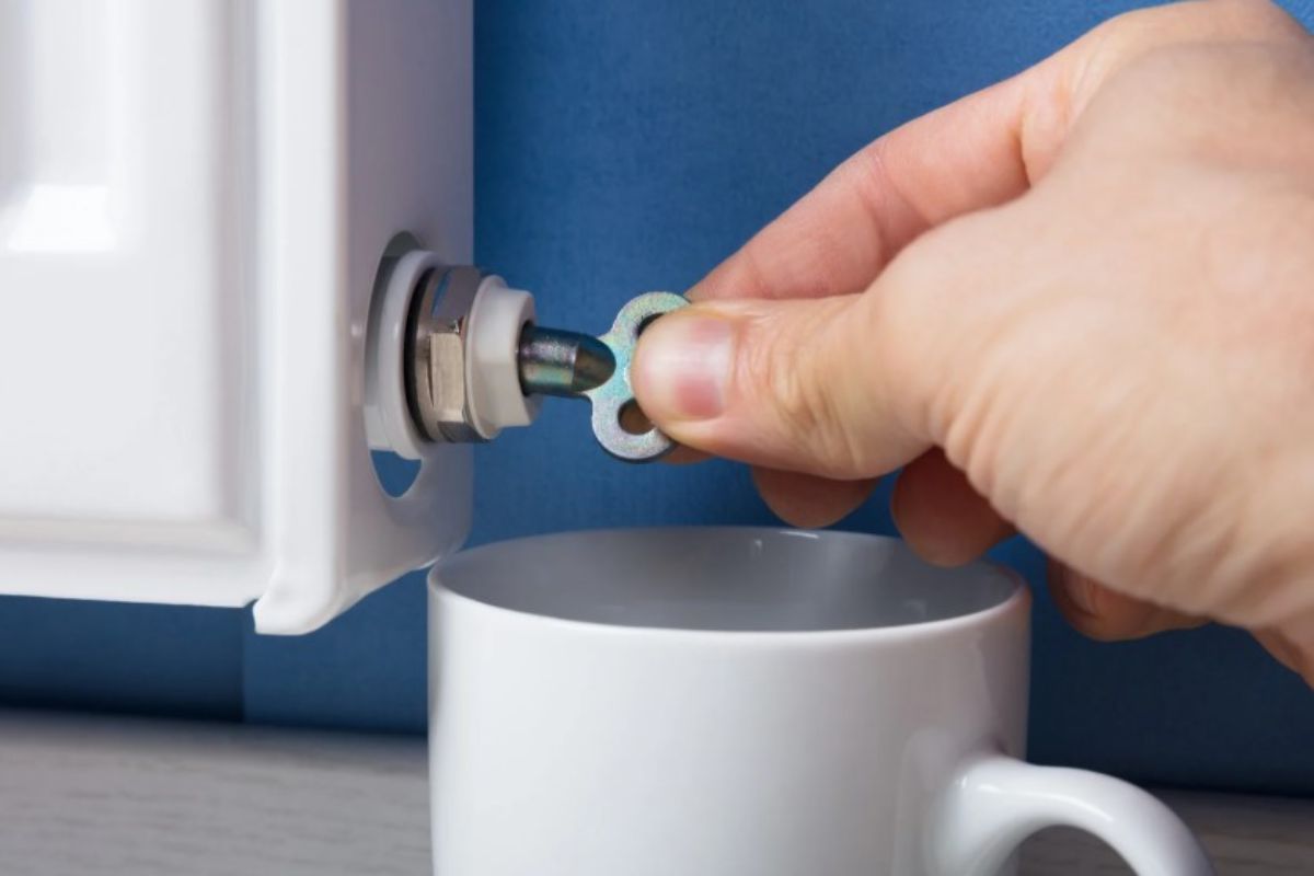 Spurgare termosifoni