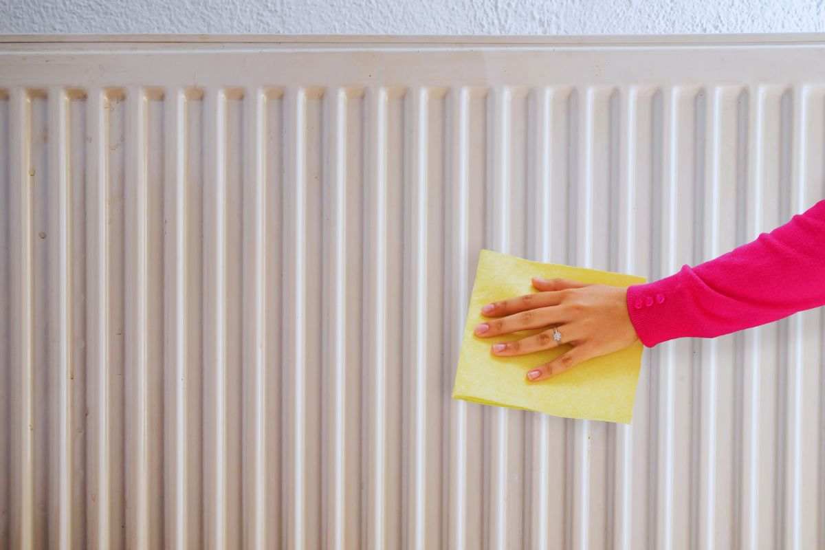 termosifoni e pulizia