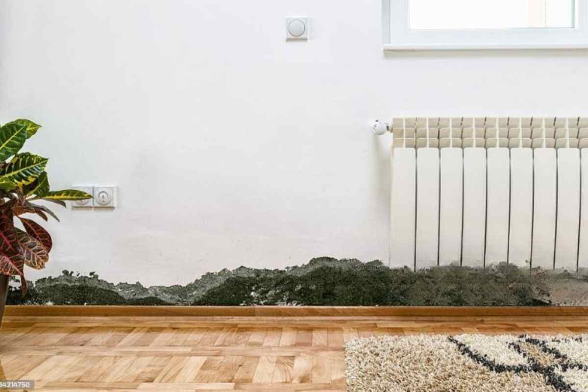 prevenire la formazione di muffa dietro ai termosifoni