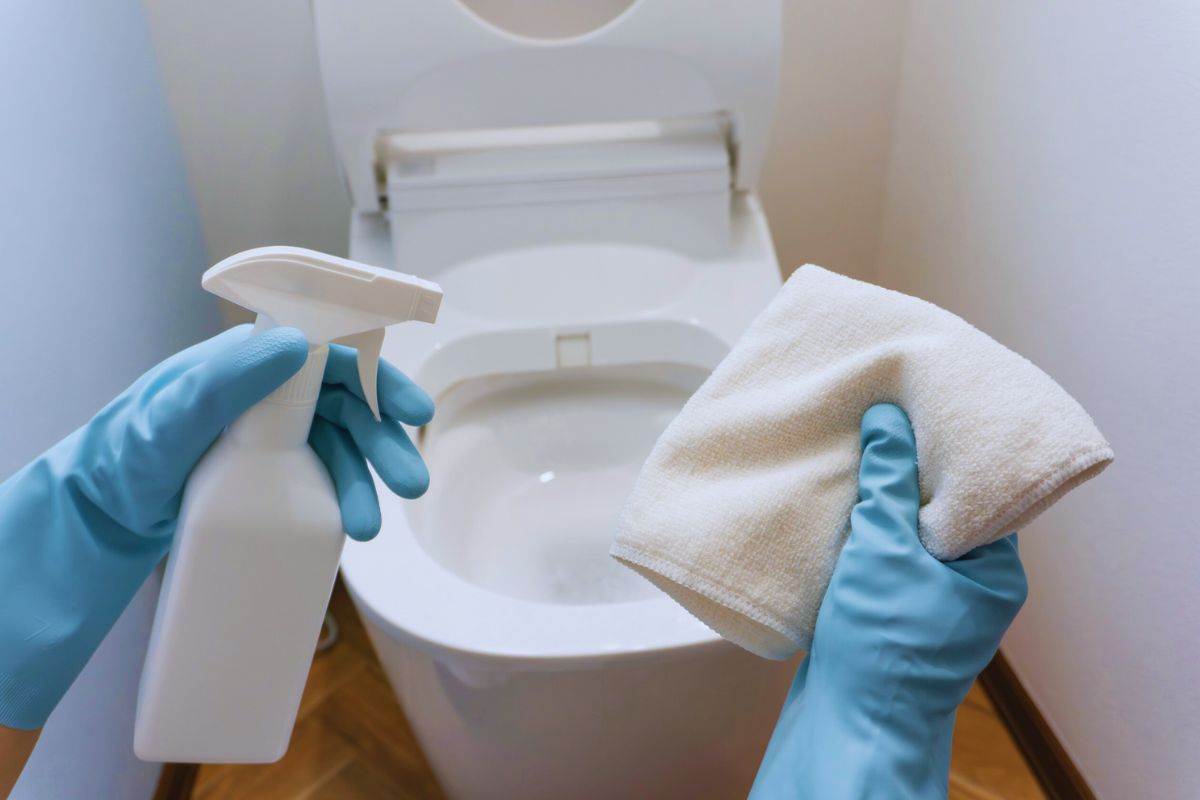 come pulire bene il wc