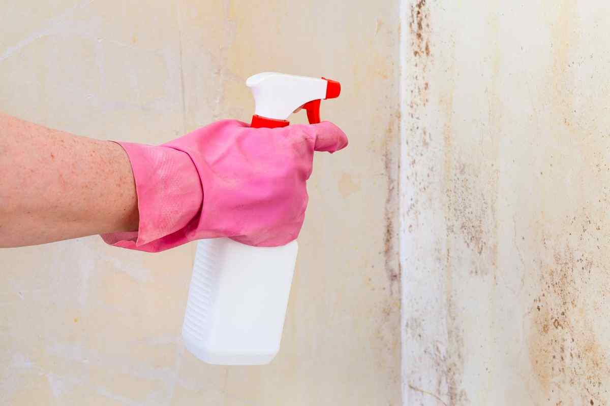 come rimuovere muffa