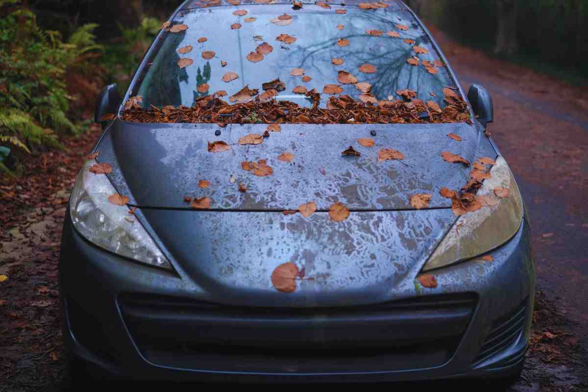 che fine fanno le auto abbandonate