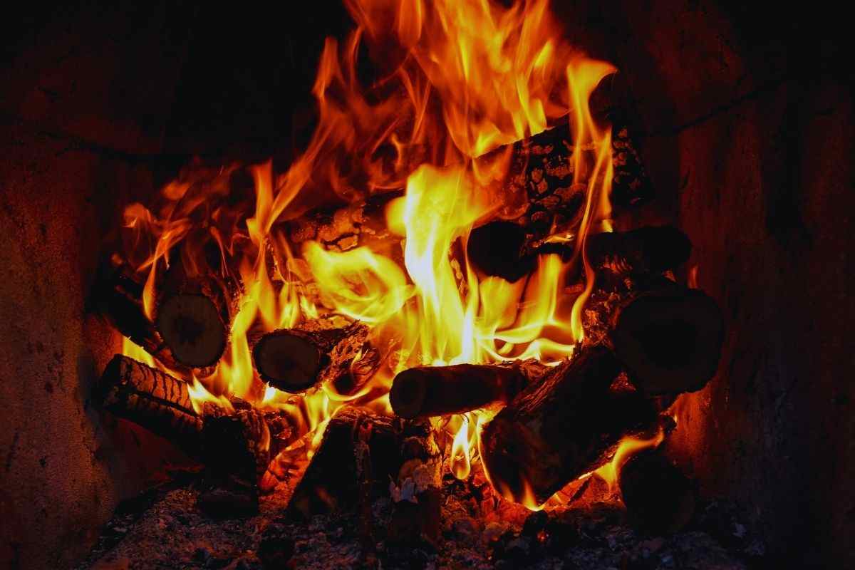 legna di faggio ottima per il camino