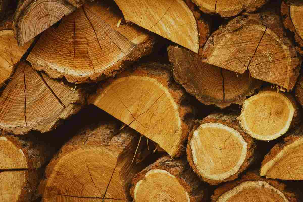 legna la legna di faggio per il camino