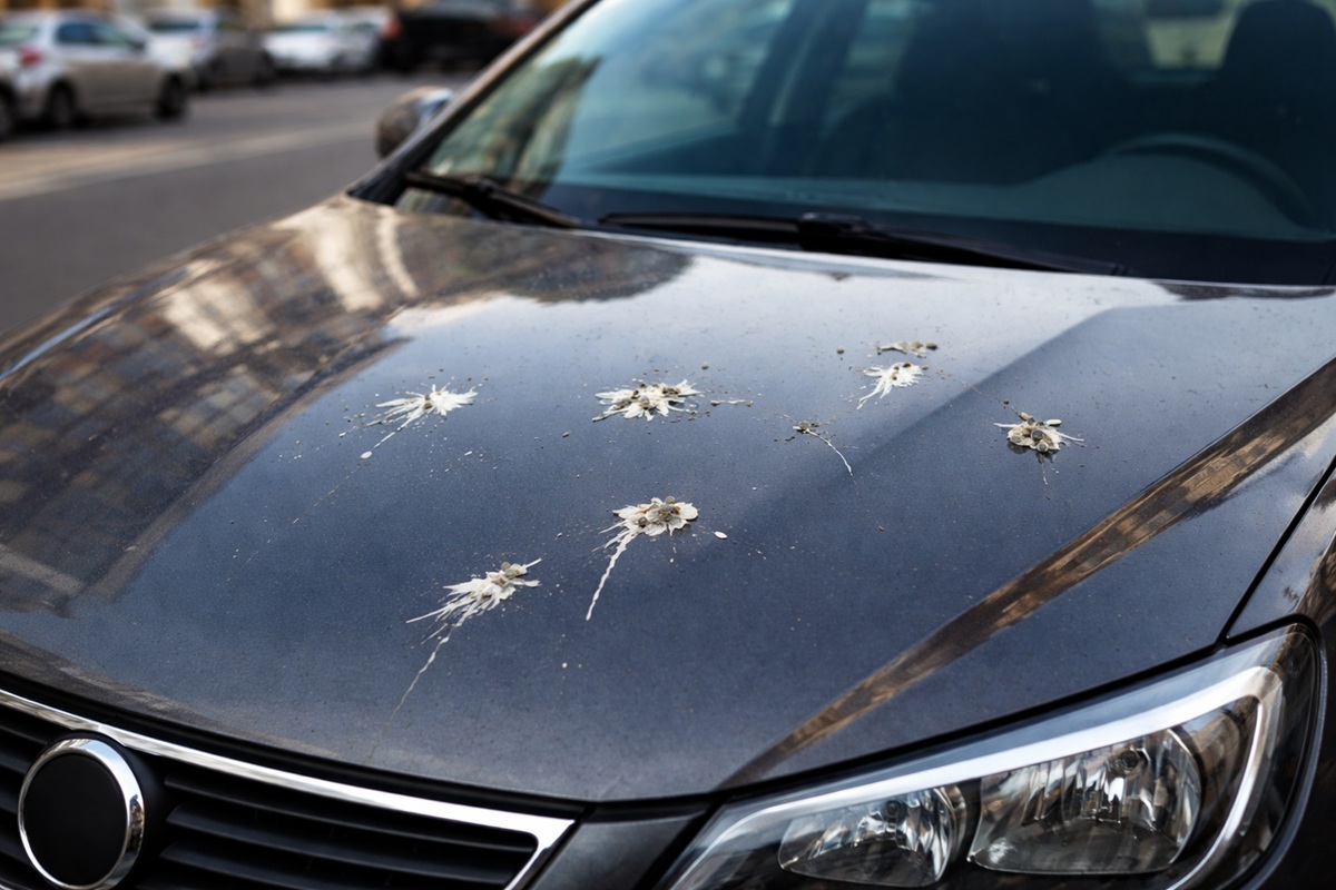 colori auto da evitare