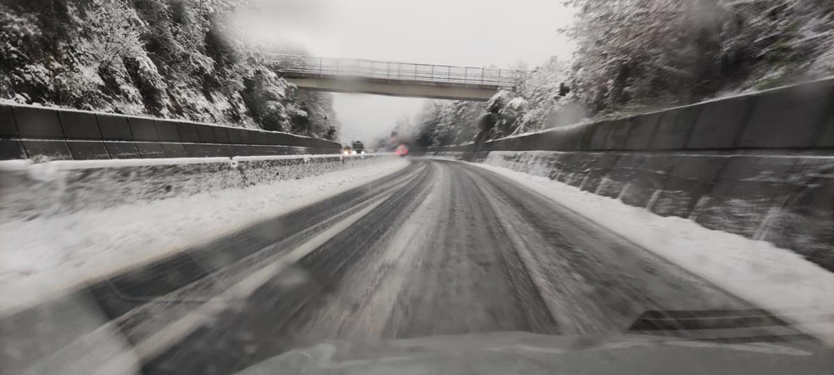 durata pneumatici all season