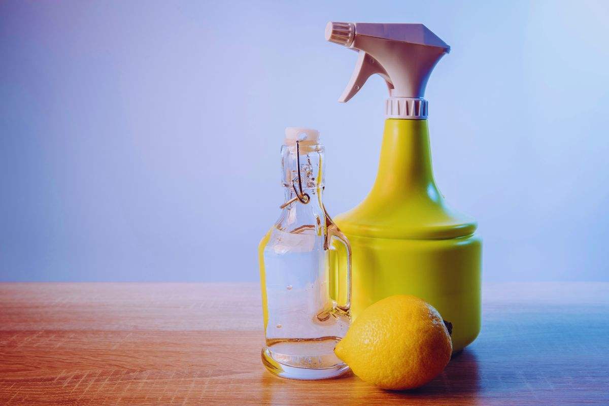 spuzzino aceto limone Come eliminare la polvere in modo semplice