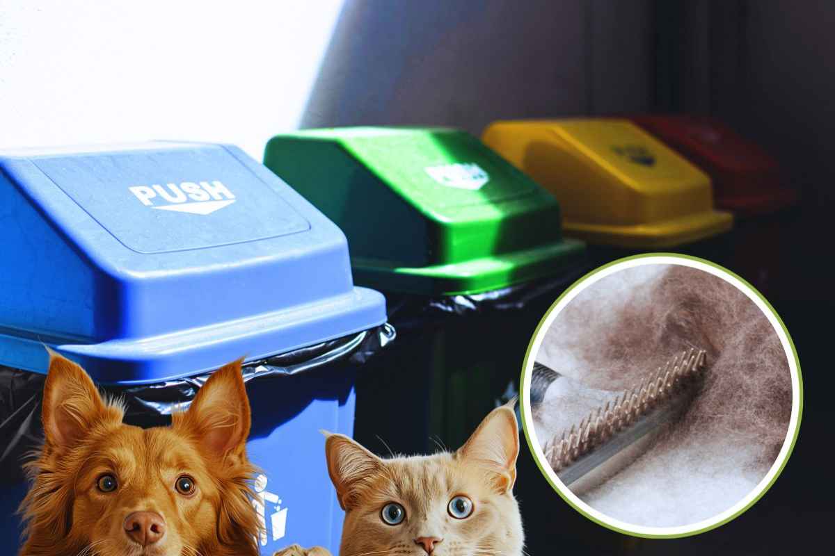 smaltimento di peli di animali