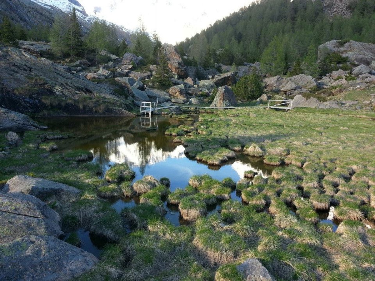 Gioiello della Valtellina