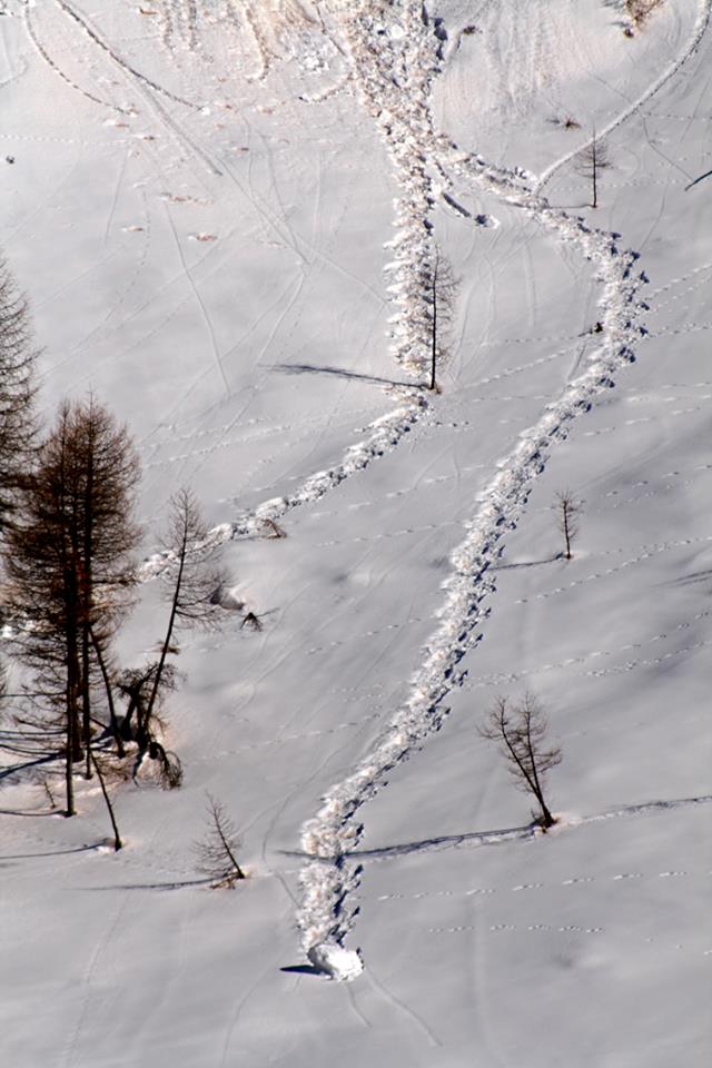 Snowboardista travolto da una valanga a Livigno