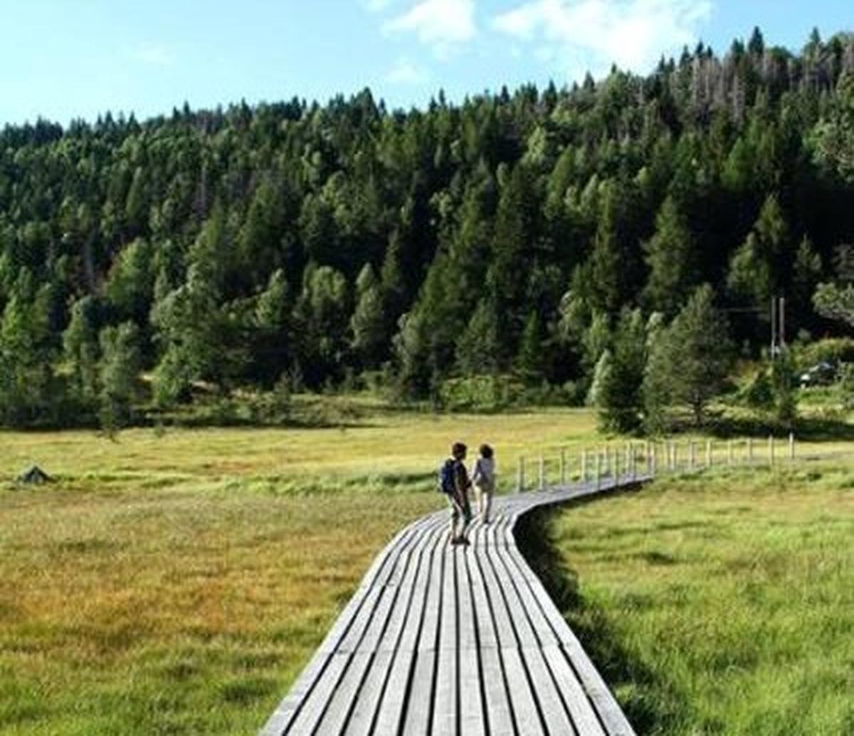 incanto della natura