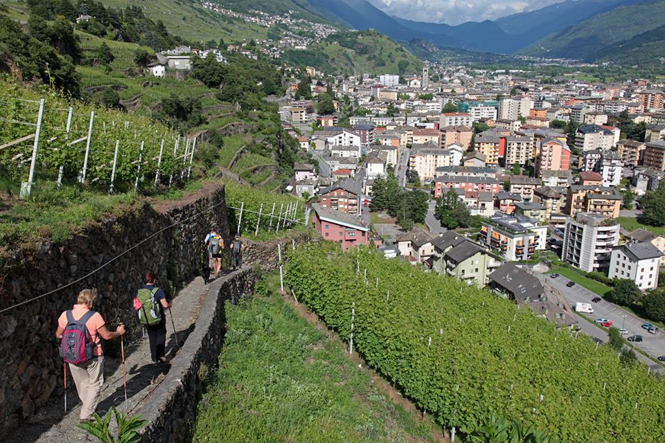 Curiosità Valtellina