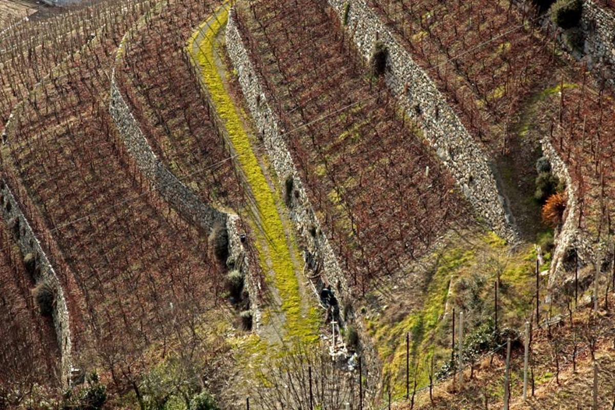 Muretti a secco Valtellina