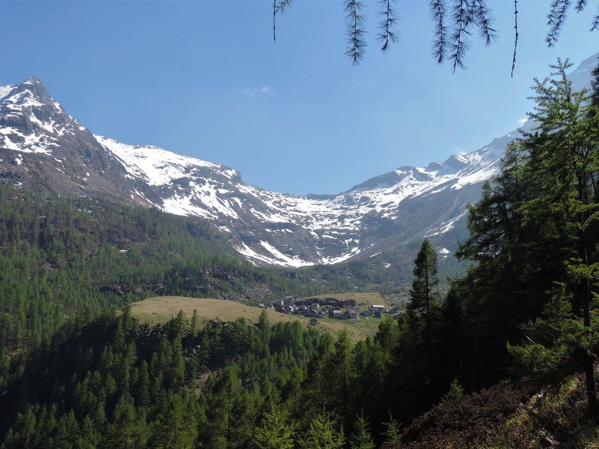 valtellina cosa vedere